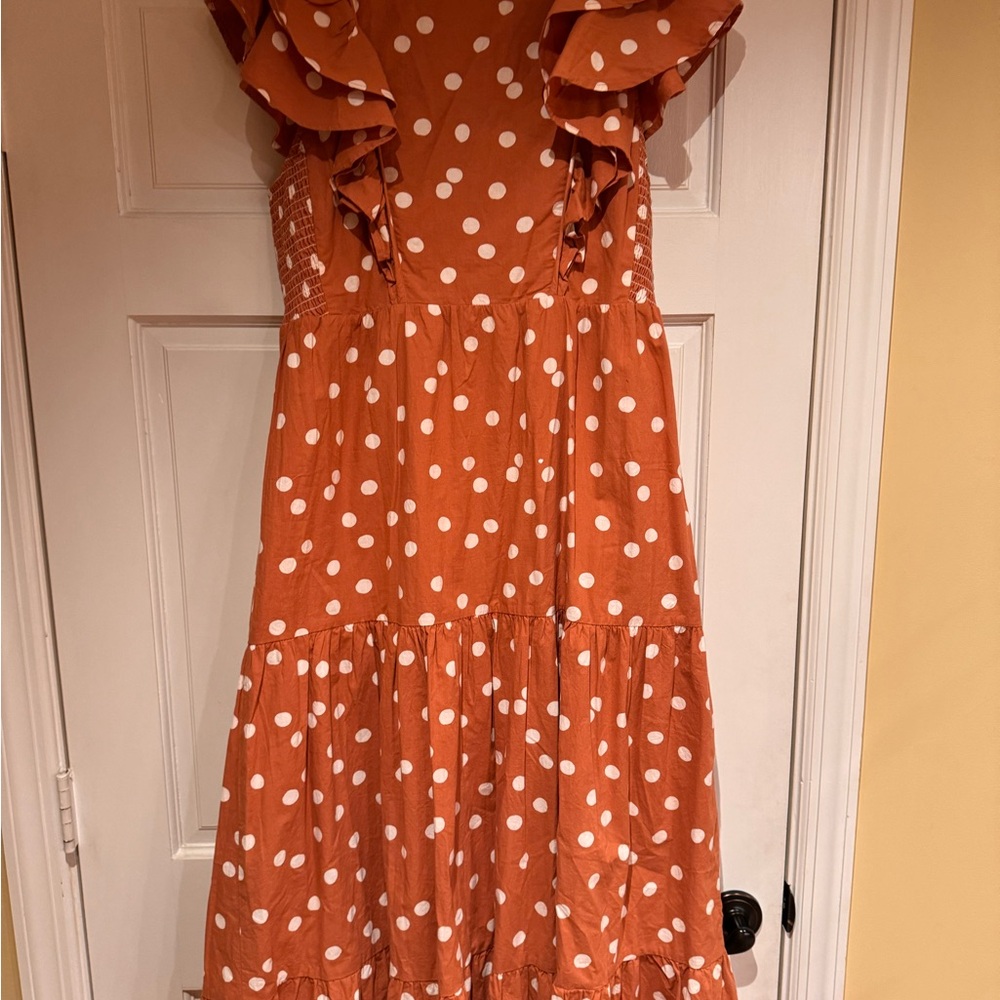 Roller Rabbit Dress, ruffles, brown, size medium, midi, white polka dots, NEW - Picture 2 of 5
